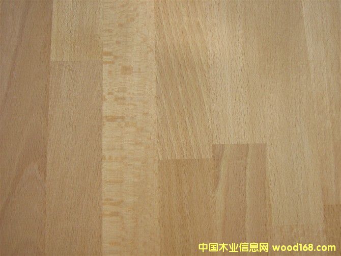 ��ľB��(j��)��Beech character��Ԕ��(x��)��B