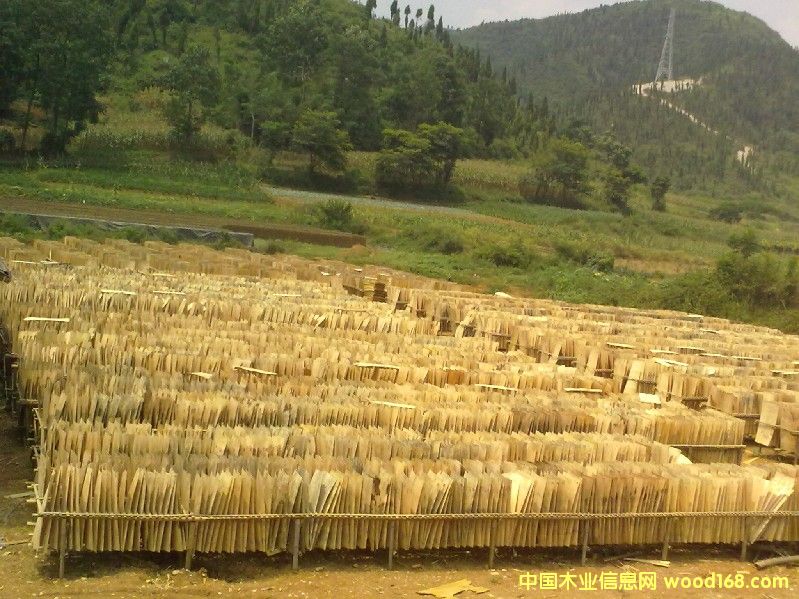 ��ľ�ΰ��Ԕ����B