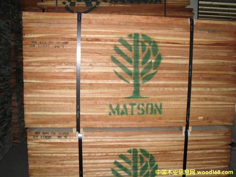 ��������ľ