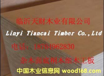 ��ľ�����Ԕ����B