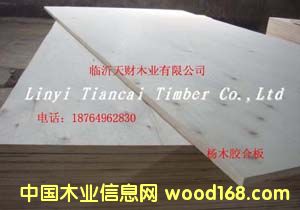 3mm���A���Ԕ����B