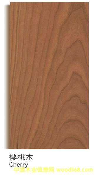 ����(gu��)���Ҍ�(sh��)ľ��(f��)�ϵذ�