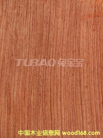 ����ֱ�yROSEWOOD��Ԕ��(x��)��B