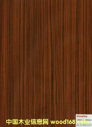 ZD9951-2��Ԕ��(x��)��B