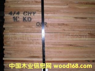 ��������ľ��Ԕ����B