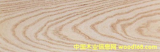 ����ˮ���� White Ash��Ԕ����B