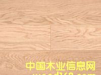 ��ľ��Ԕ��(x��)��B