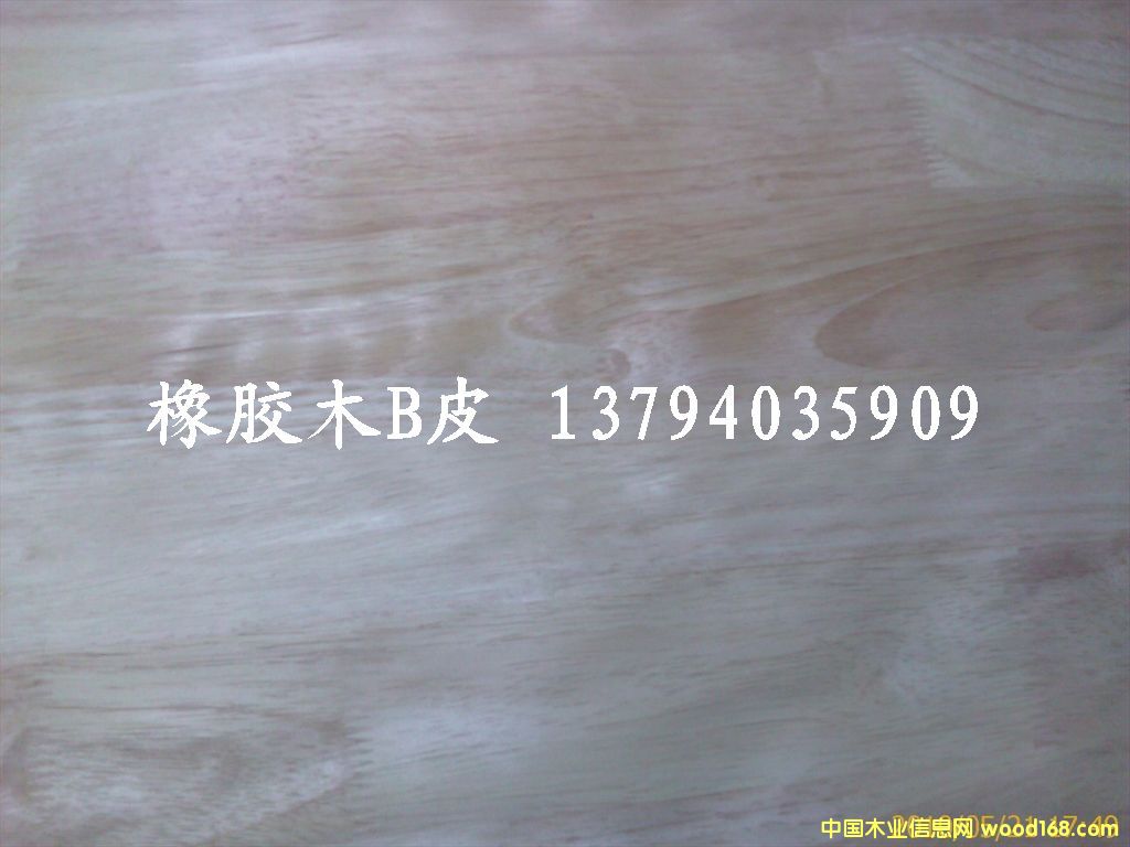 ���zľָ��Ƥ��Ԕ��(x��)��B