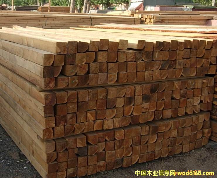 �s,ɼ����ľ��ľ�l��Ԕ��(x��)��B