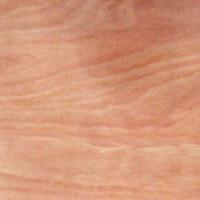 �һ���ľ��Ԕ����B