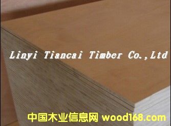 ��(y��u)�|(zh��)��(x��)ľ�����Ԕ��(x��)��B