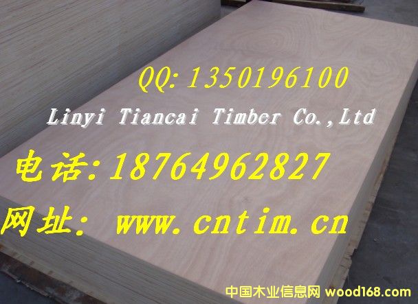 �W��������ľ��ؐ��ɼ�ȸ��N��׵ę���ϵ��