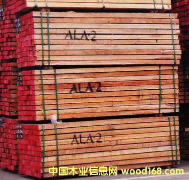 ����ľ��Ԕ��(x��)��B