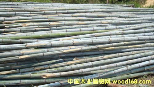 ԭ���Ԕ����B