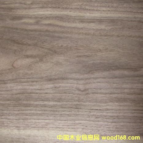 �����A��ľƤ ��Ԕ��(x��)��B