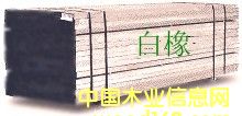 白橡的詳細(xì)介紹
