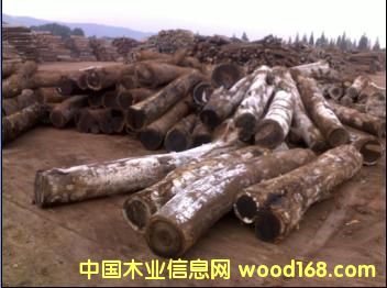 �u���Ԕ��(x��)��B