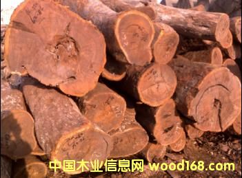 9��25�յ�Ƥ�ҵ�Ԕ��(x��)��B