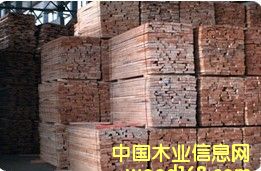 �W�ޙ�ľ����ľë���Ԕ����B