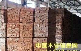 �W�ޙ�ľ����ľ��ĵ�Ԕ����B