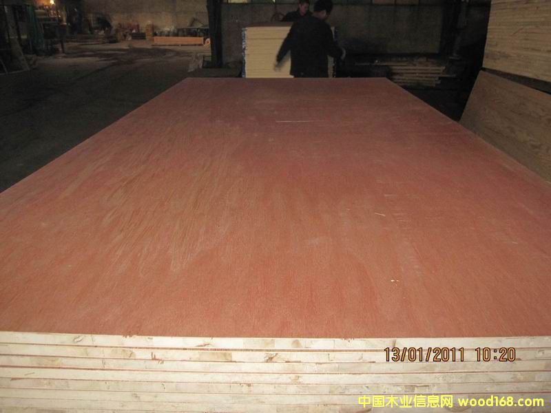 ���ǹ���ח�ľо��(x��)ľ�����Ԕ��(x��)��B