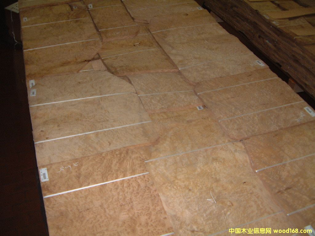 ���^����,MYRTLE BURL