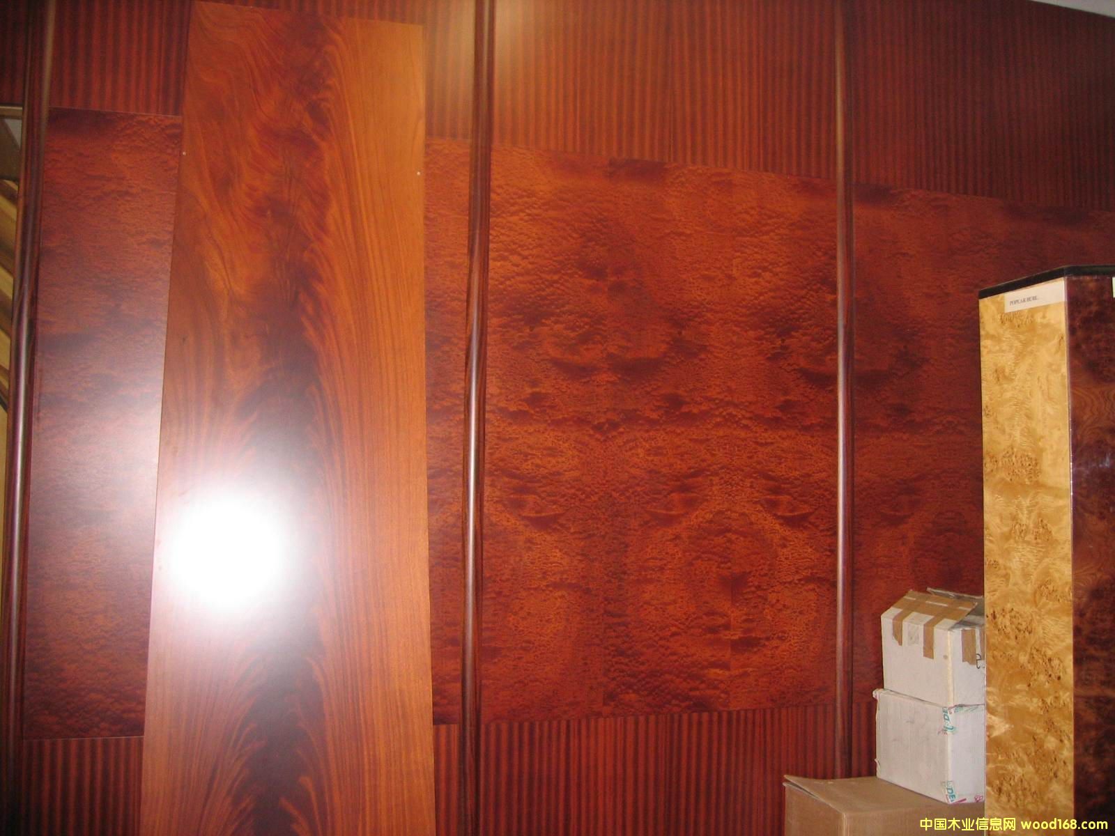 ��yɳ������ɳ������y