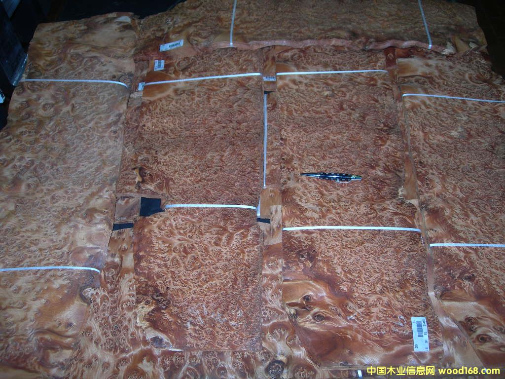 ���������THUYA BURL