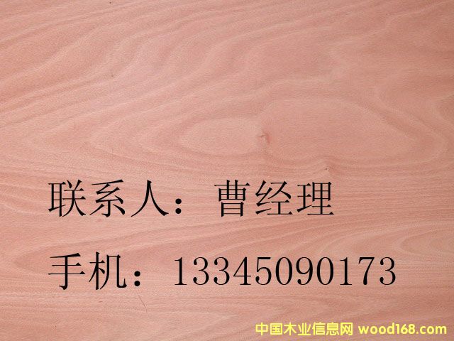 �W�����ΰ��Ԕ��(x��)��B