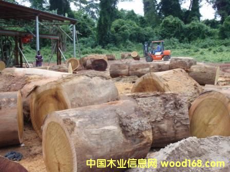 �A�P�������ӹ��е�Ԕ����B