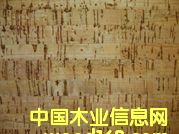 ����ܛľ�ذ��Ԕ��(x��)��B