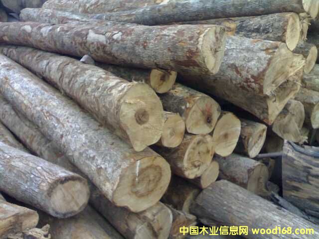 ɽ����ľ��Ԕ����B