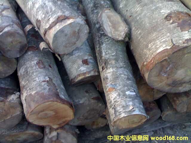 ɽ�ҵ�Ԕ����B