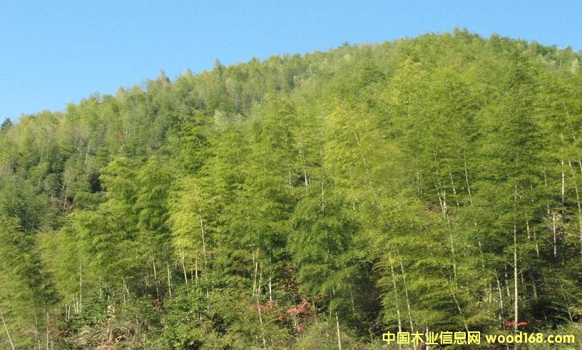 ���ӵ�Ԕ��(x��)��B