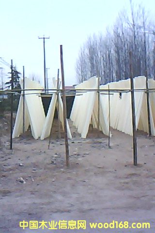 Ư�ח�ľ��Ƥ��Ԕ����B