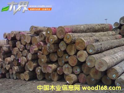 ݗ���ɵ�Ԕ��(x��)��B