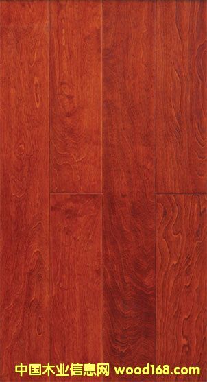 ��ľ--��ʿ�ɼt��Ԕ��(x��)��B