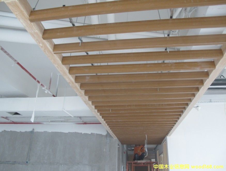 ���ڌ���ʢ���B(t��i)ľ��Ԕ����B