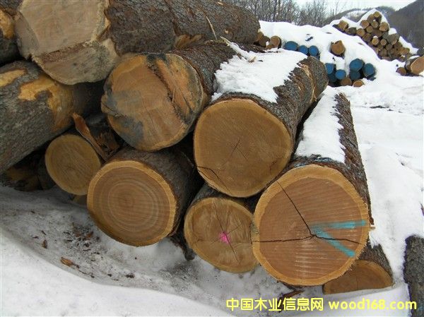 ����(gu��)����ľ��Ԕ��(x��)��B