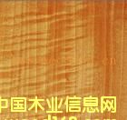 �tӰ��Ԕ��(x��)��B