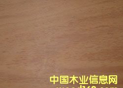 �һ�о��Ԕ��(x��)��B