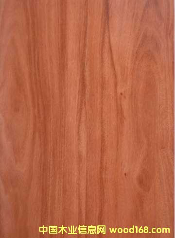 �t�ϙ��Ԕ��(x��)��B