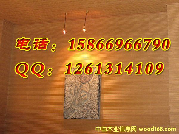 195���L(zh��ng)��