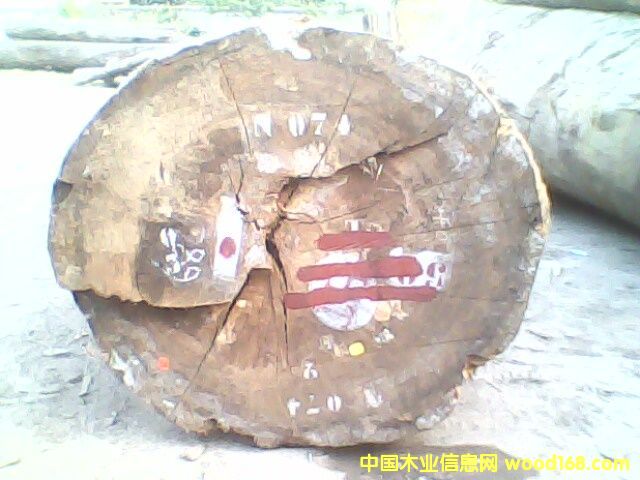 �tõ���Ԕ��(x��)��B