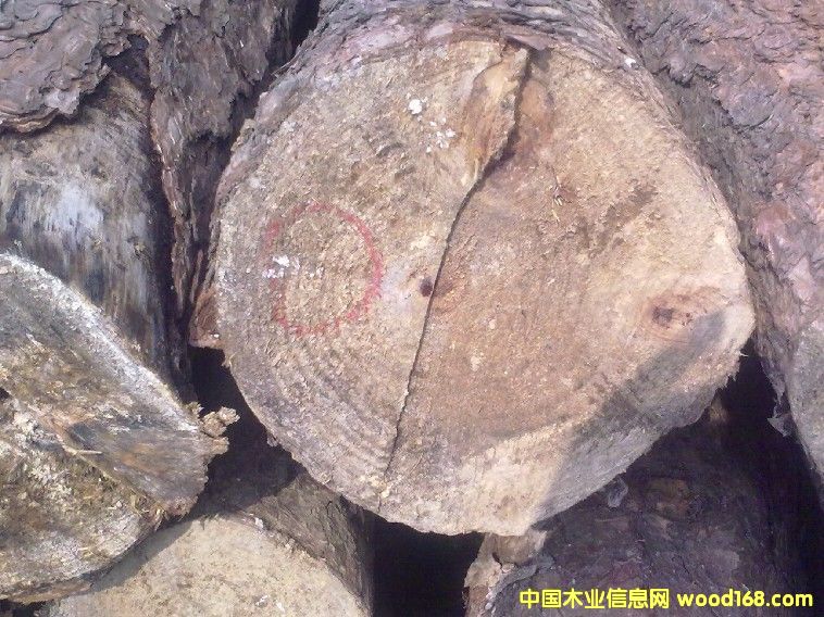 ��ľ�ΰ��Ԕ����B