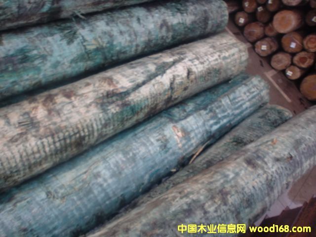 �����mݗ����ԭľ��Ԕ��(x��)��B