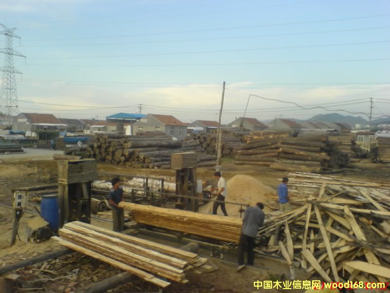 Ҏ(gu��)��ľ����Ԕ��(x��)��B