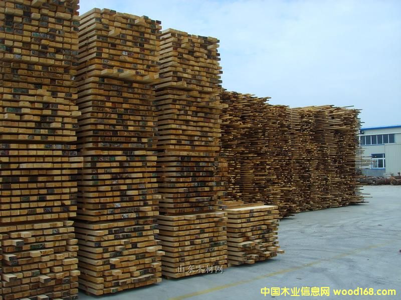 �Fɼ/��ɼ/SPF��Ԕ��(x��)��B