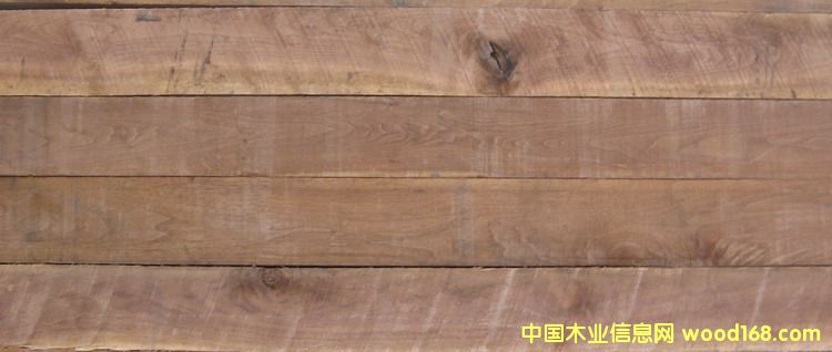 ����(gu��)����ľ��Ԕ��(x��)��B