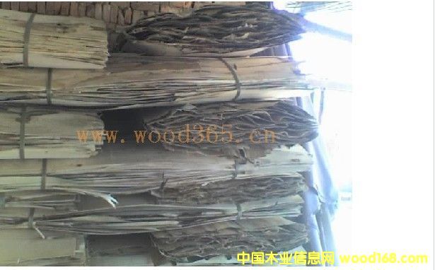 �����Ԕ��(x��)��B